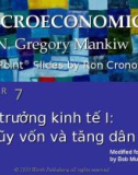 Bài giảng Kinh tế vĩ mô: Chương 7 - N. Gregory Mankiw