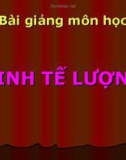 Bài giảng học môn KINH TẾ LƯỢNG