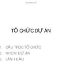 Tổ chức dự án kinh tế