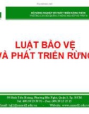 Bài giảng Luật Bảo vệ và phát triển rừng