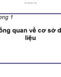 Bài giảng môn học Cơ sở dữ liệu - Chương 1: Tổng quan về cơ sở dữ liệu