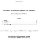 Information Technology Engineers and Skill Standards