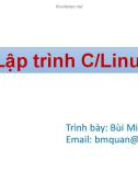 Bài giảng Phát triển phần mềm mã nguồn mở: Lập trình C/Linux - Bùi Minh Quân