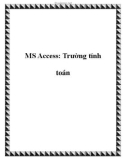 MS Access: Trường tính toán