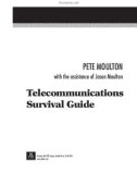 Telecommunications Survival Guide