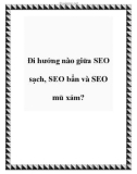 Đi hướng nào giữa SEO sạch, SEO bẩn và SEO mũ xám?