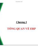 Bài giảng Ứng dụng công nghệ thông tin trong quản lý tài nguyên doanh nghiệp – Chương 3: Tổng quan về ERP