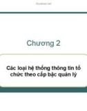 Bài giảng Ứng dụng công nghệ thông tin trong quản lý tài nguyên doanh nghiệp – Chương 2: Các loại hệ thống thông tin tổ chức theo cấp bậc quản lý