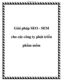 Giải pháp SEO - SEM cho các công ty phát triển phầm mềm