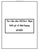 Tư vấn cho SEOer: Bạn biết gì về thứ hạng google