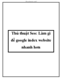 Thủ thuật Seo: Làm gì để google index website nhanh hơn