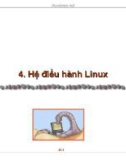 Bài giảng Hệ điều hành: Hệ điều hành Linux