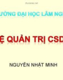 Bài giảng Hệ quản trị cơ sở dữ liệu: Chương 1 - Nguyễn Nhật Minh