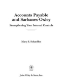 Ebook Accounts payable and Sarbanes-Oxley: Strengthening your internal controls - Mary S. Schaeffer