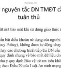 Các nguyên tắc doanh nghiệp thương mại điện tử cần tuân thủ