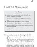 Ebook Analyzing banking risk: A framework for assessing corporate governance and risk management – Part 2