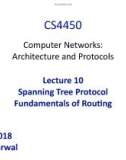 Lecture Computer Networks: Architecture and Protocols - Lesson 10