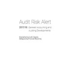 Ebook Audit risk alert: General accounting and auditing developments (2017/18)