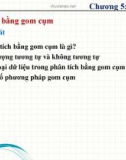 Bài giảng Khai phá dữ liệu - Chương 5: Gom cụm