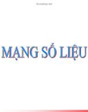 Mạng số liệu