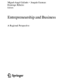 Ebook Entrepreneurship and business: A regional perspective – Part 1