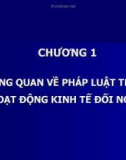 TỔNG QUAN VỀ PHÁP LUẬT TRONG HOẠT ĐỘNG KINH TẾ ĐỐI NGOẠI