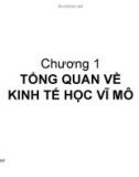 Bài giảng Chương 1: Tổng quan về kinh tế học vĩ mô - Trần Thị Minh Ngọc