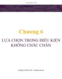 Bài giảng Lý thuyết kinh tế học vi mô: Chương 6 - GV. Đinh Thiện Đức