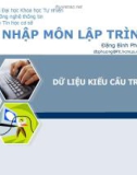 Bài giảng Nhập môn lập trình - Bài 13: Dữ liệu kiểu cấu trúc