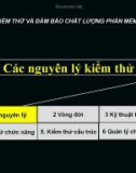 Bài giảng Kiểm thử và đảm bảo chất lượng phần mềm: Chương 1