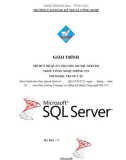 Giáo trình mô đun Hệ quản trị CSDL MS SQL Server (Nghề Công nghệ thông tin - Trình độ trung cấp) – CĐ Kỹ thuật Công nghệ BR–VT