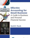 Ebook Effective accounting for small businesses: A guide to business and personal financial success - David E. Tooch