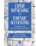 Ebook Expert witnessing in forensic accounting: A handbook for lawyers and accountants