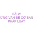 Bài giảng Pháp luật đại cương - Bài 2: Những vấn đề cơ bản về pháp luật (Trường ĐH Kiến trúc - ĐH Đà Nẵng)