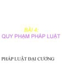 Bài giảng Pháp luật đại cương - Bài 4: Quy phạm pháp luật (Trường ĐH Kiến trúc - ĐH Đà Nẵng)