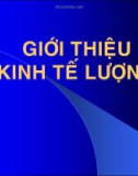 Bài giảng Giới thiệu về kinh tế lượng - Cao Hào Thi