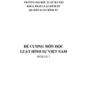 Đề cương môn học Luật hình sự Việt Nam