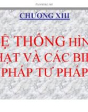 Bài giảng Luật Hình sự Việt Nam: Chương XIII (tt)