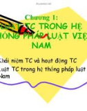 Bài giảng Luật tài chính - Chương 1: Luật tài chính trong hệ thống pháp luật Việt Nam