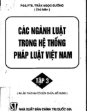 Tìm hiểu Các ngành luật trong hệ thống pháp luật Việt Nam (Tập 3): Phần 1