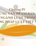 Bài giảng Nhà nước và Pháp luật đại cương – Chương 4.1: Những vấn đề cơ bản về các ngành luật trong hệ thống pháp luật Việt Nam (Luật Hiến pháp Việt Nam)