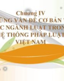 Bài giảng Nhà nước và Pháp luật đại cương – Chương 4.2: Những vấn đề cơ bản về các ngành luật trong hệ thống pháp luật Việt Nam (Luật Hình sự Việt Nam)