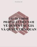 Bài giảng Các quy định pháp luật Việt Nam về quyền tác giả và quyền liên quan