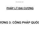 Bài giảng Pháp lý đại cương: Chương 3 - Công pháp quốc tế