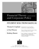 Ebook Financial theory and corporate policy - Student solutions manual (Fourth edition)