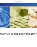 Bài giảng Khung pháp lý cho đấu thầu qua mạng