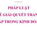 Bài giảng Pháp luật đại cương: Bài 7.4 - Trường ĐH Văn Lang