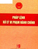 Tìm hiểu về Pháp lệnh xử lý vi phạm hành chính: Phần 1