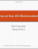 Bài giảng Phương sai thay đổi (Heteroscedasticity) - Đinh Công Khải