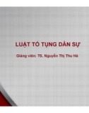 Bài giảng Luật tố tụng Dân sự: Bài 6 - TS. Nguyễn Thị Thu Hà